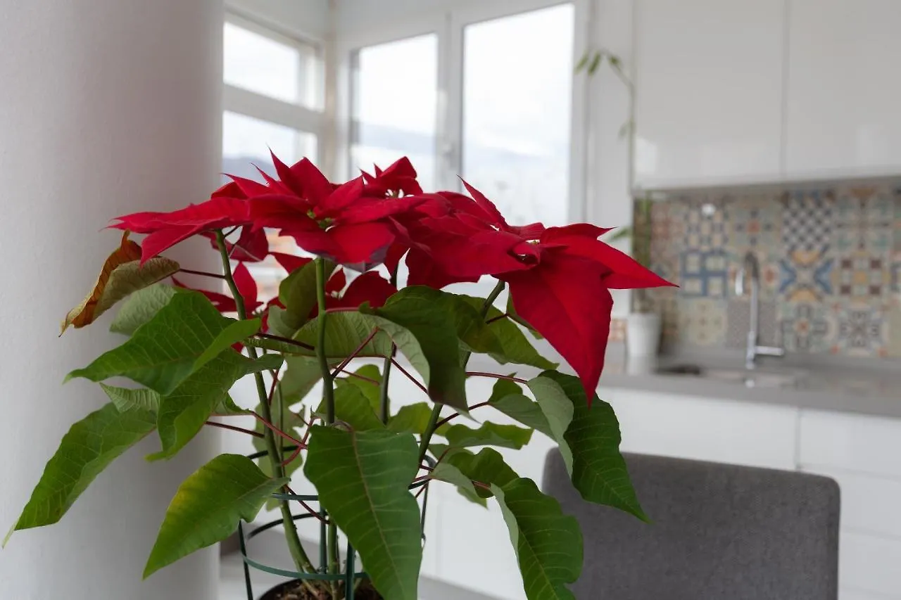 Apt Playa Y Montana Apartment Torremolinos Spain